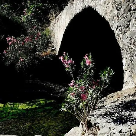 Magical Retreat *